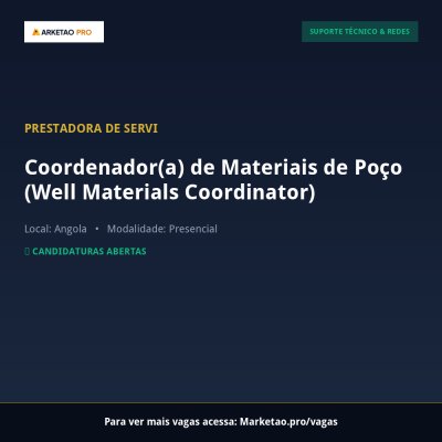 Coordenador(a) de Materiais de Poço (Well Materials Coordinator)
