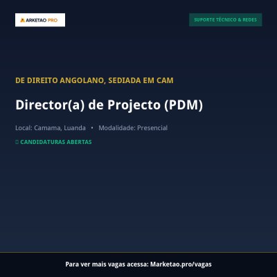Director(a) de Projecto (PDM)